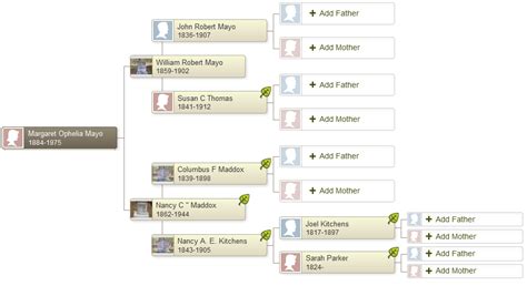 thomas mayo family tree|mayo family tree dna project.